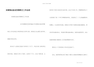 实销售总监试用期转正工作总结
