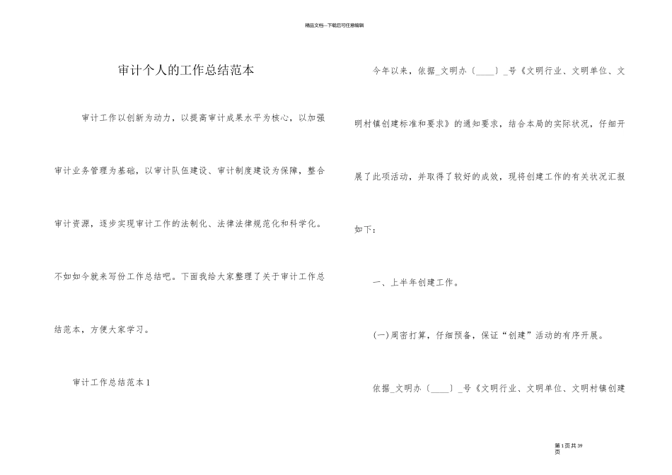 审计个人的工作总结范本_第1页