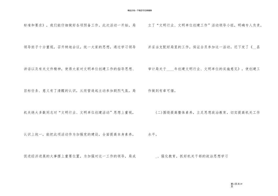 审计个人的工作总结范本_第2页