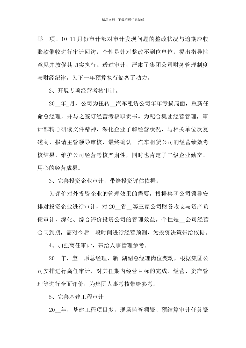 审计个人工作总结2024年_第2页