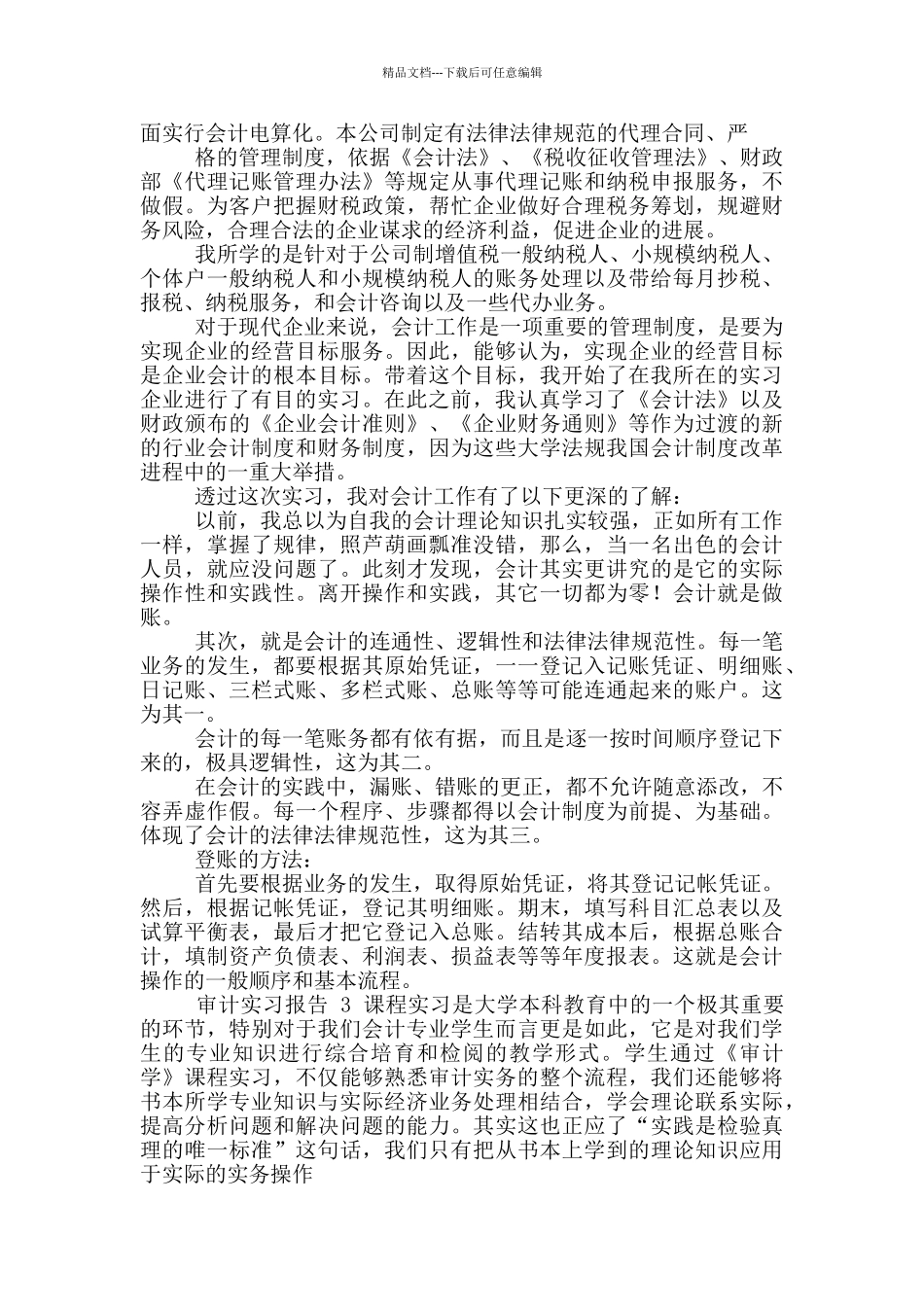 审计实习报告_第3页