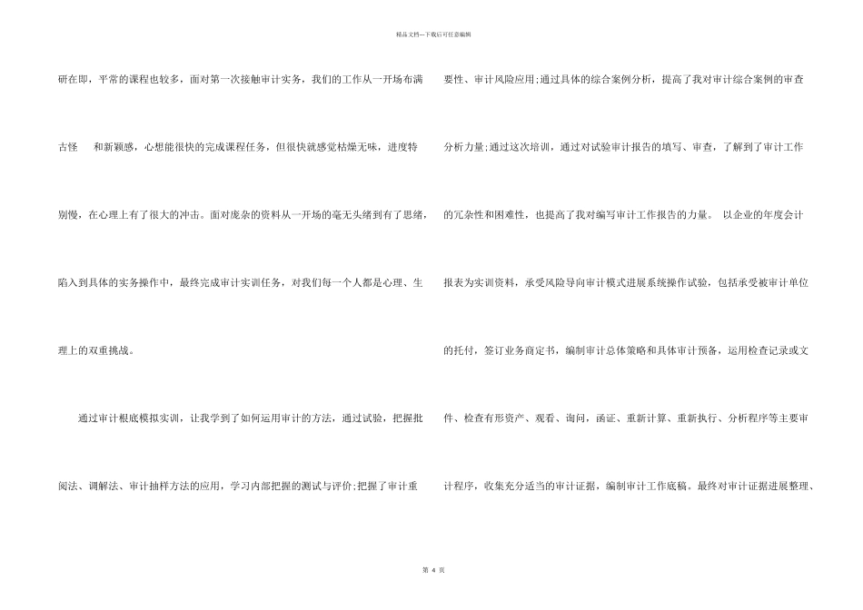 审计实习个人工作总结_第2页