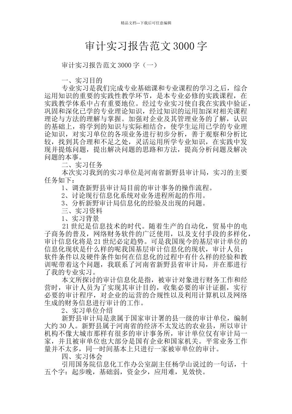 审计实习报告范文3000字_第1页