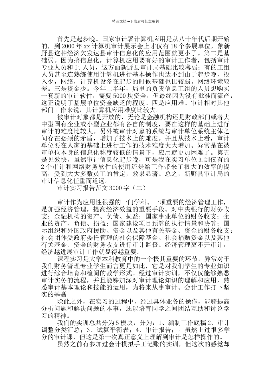 审计实习报告范文3000字_第2页