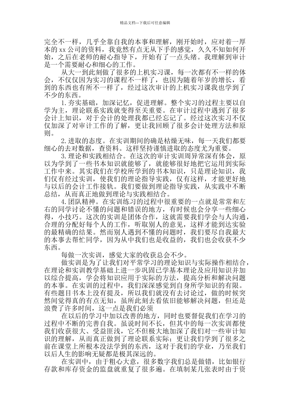 审计实习报告范文3000字_第3页