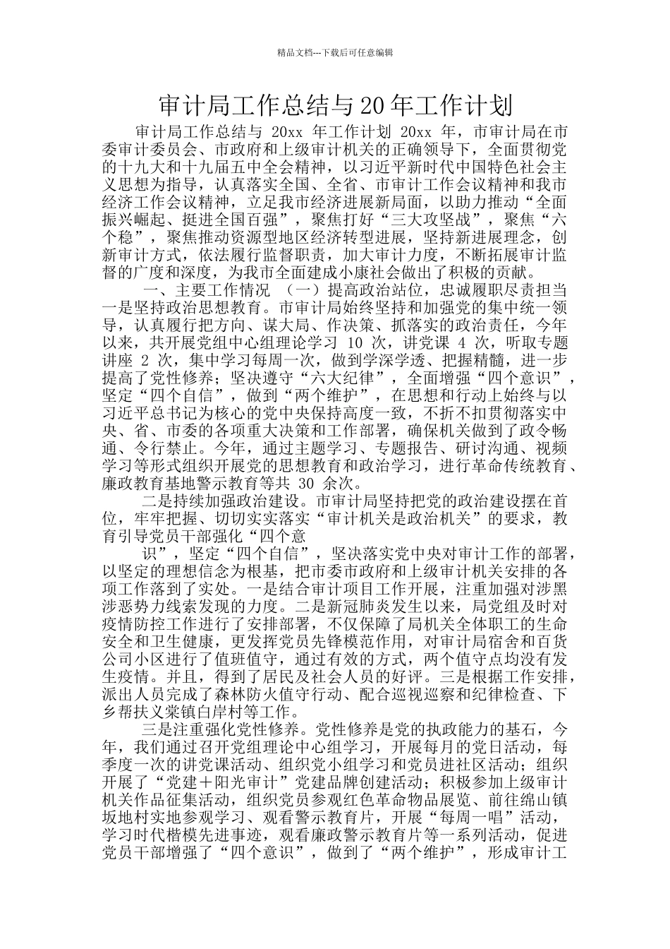 审计局工作总结与20年工作计划_第1页