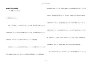 审计模拟实训心得体会