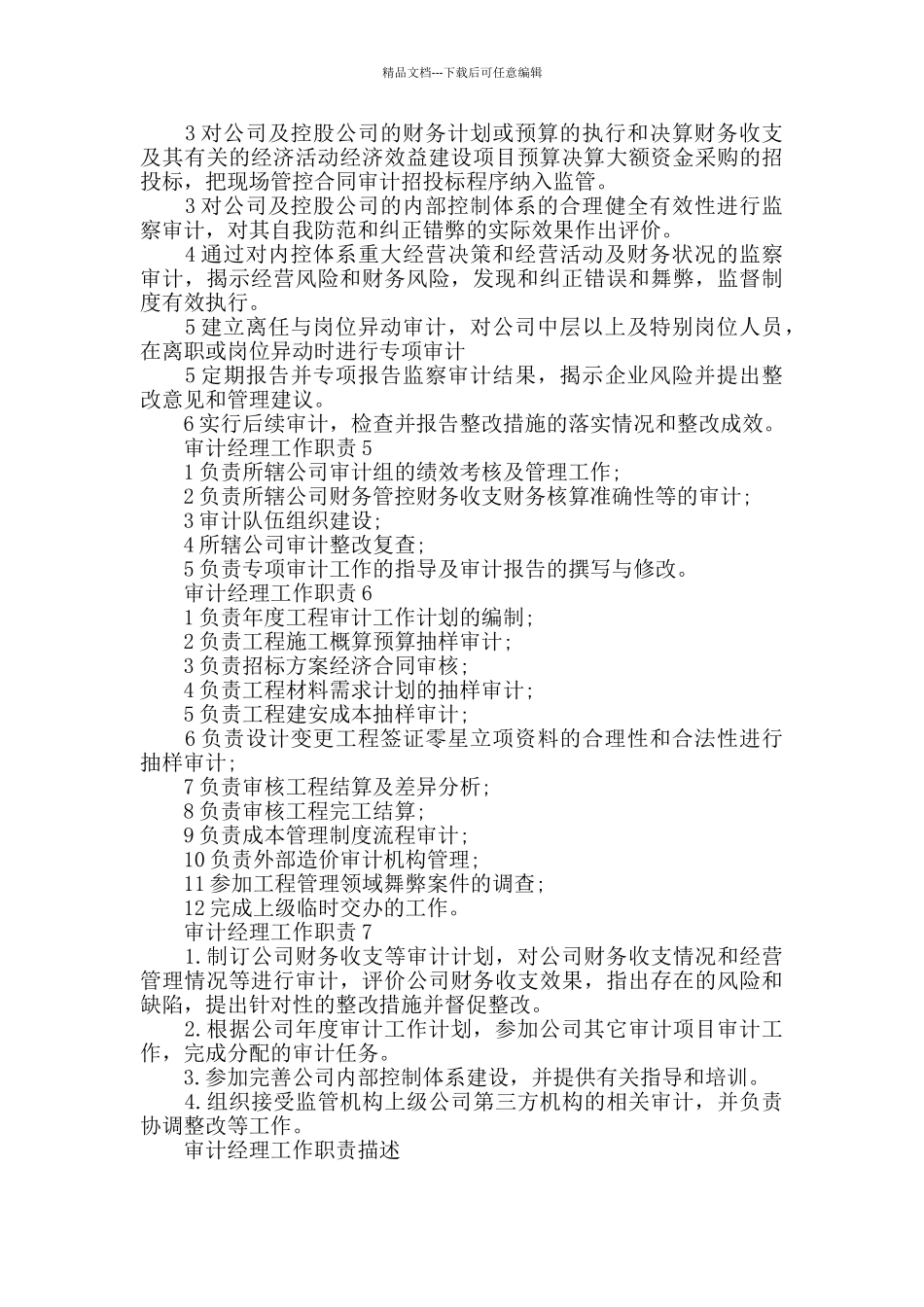 审计经理工作职责描述_第2页