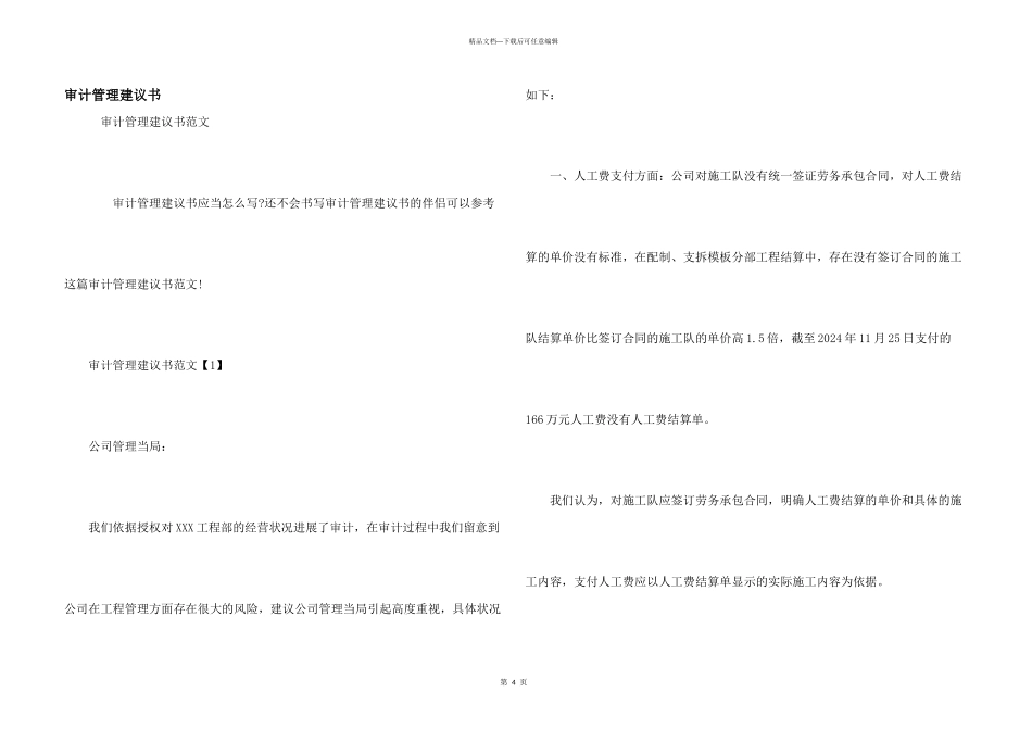 审计管理建议书_第1页