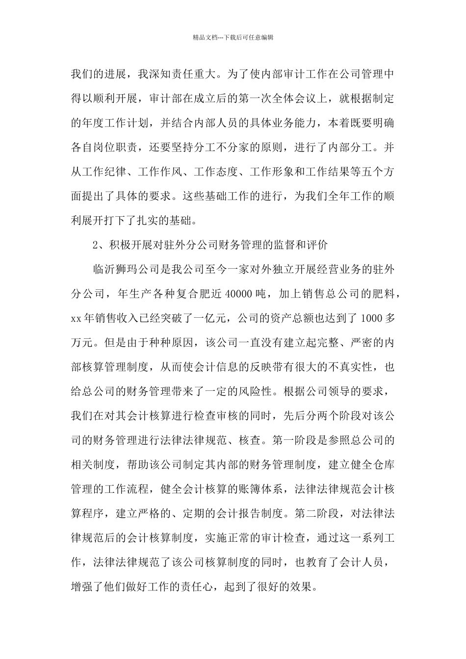 审计干部2024年上半年述职报告_第2页