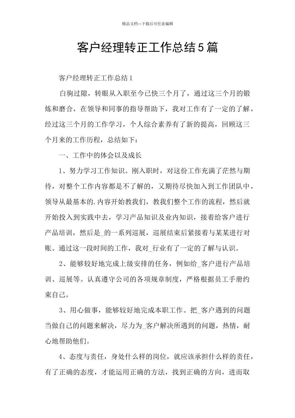 客户经理转正工作总结5篇_第1页
