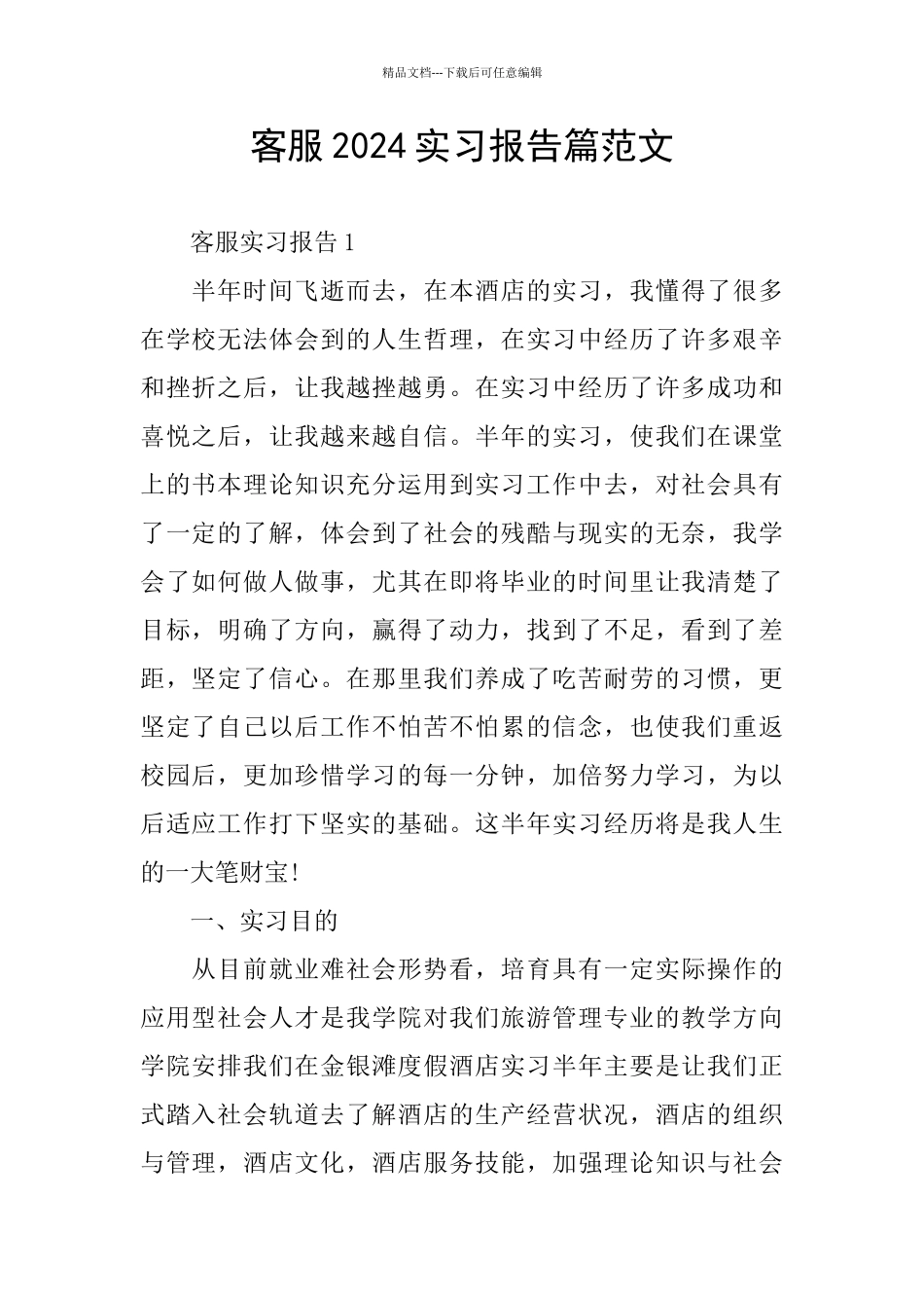客服2024实习报告篇范文_第1页