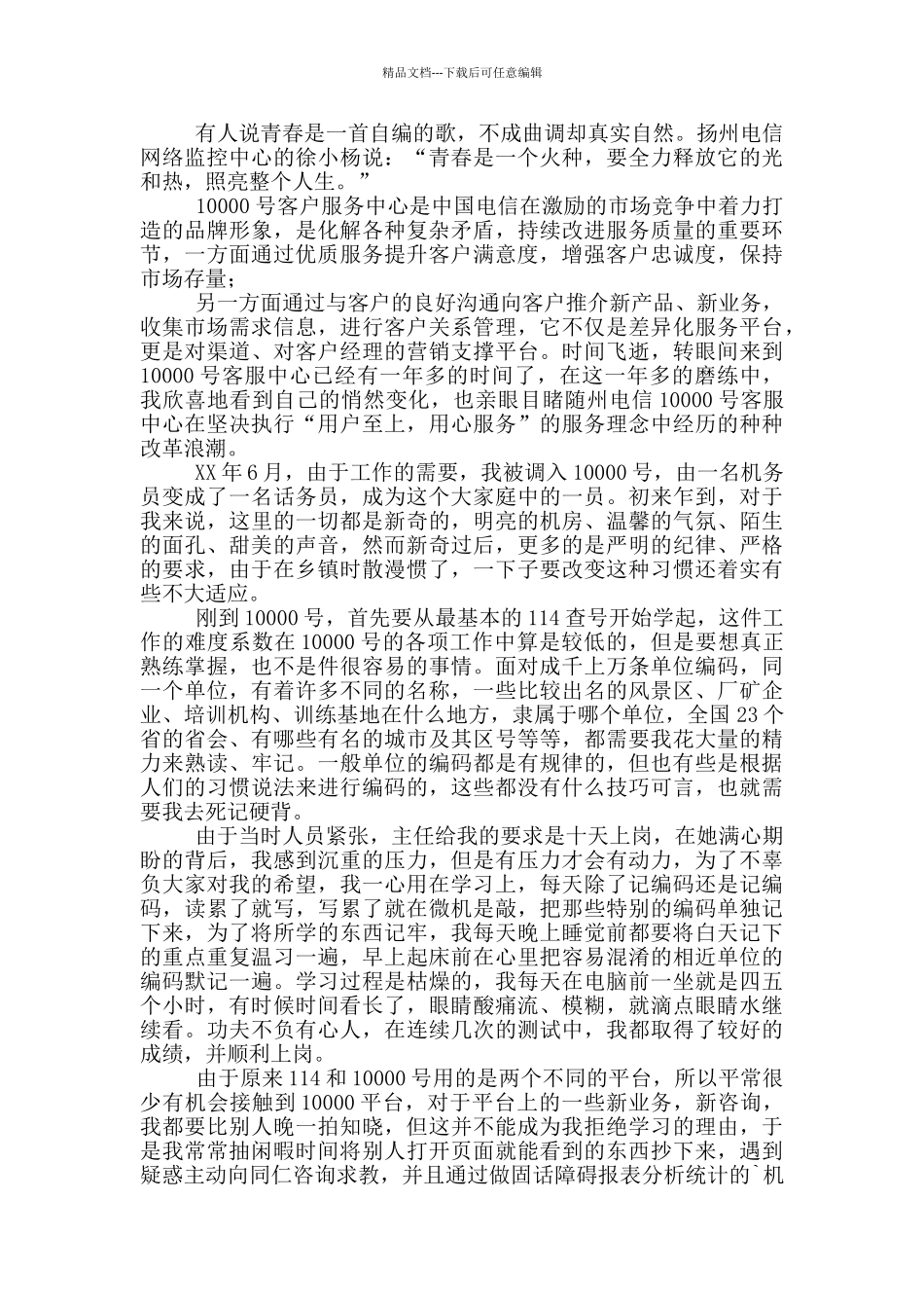 客服个人工作总结2024_第2页