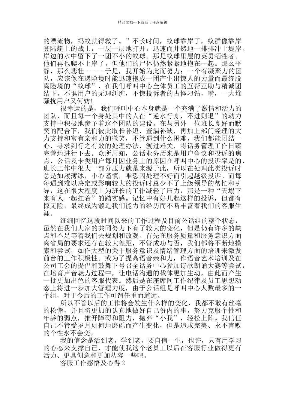 客服工作总结感悟范文_第2页