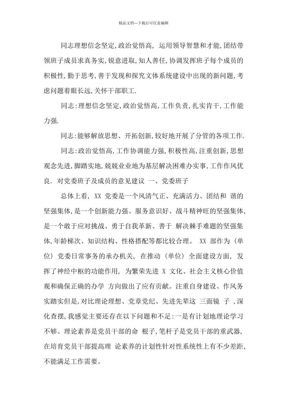 对党委班子及成员的意见建议_第3页