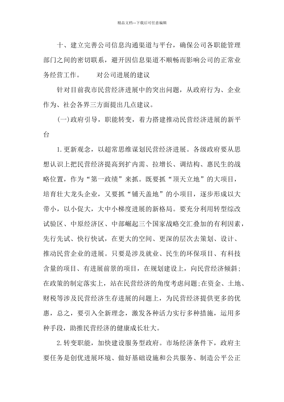 对公司发展的建议_第3页