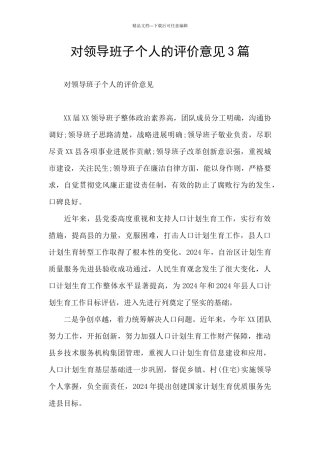 对领导班子个人的评价意见3篇