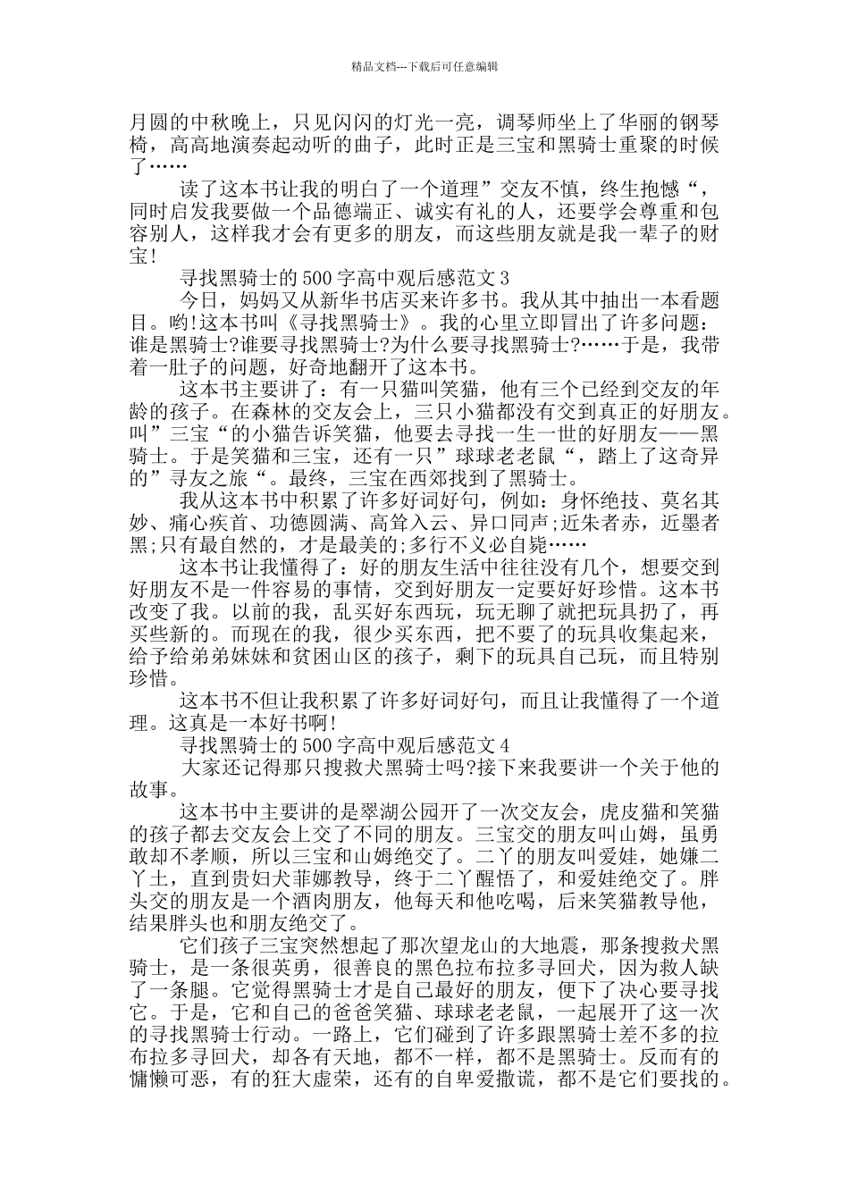 寻找黑骑士500字高中观后感范文大全_第2页