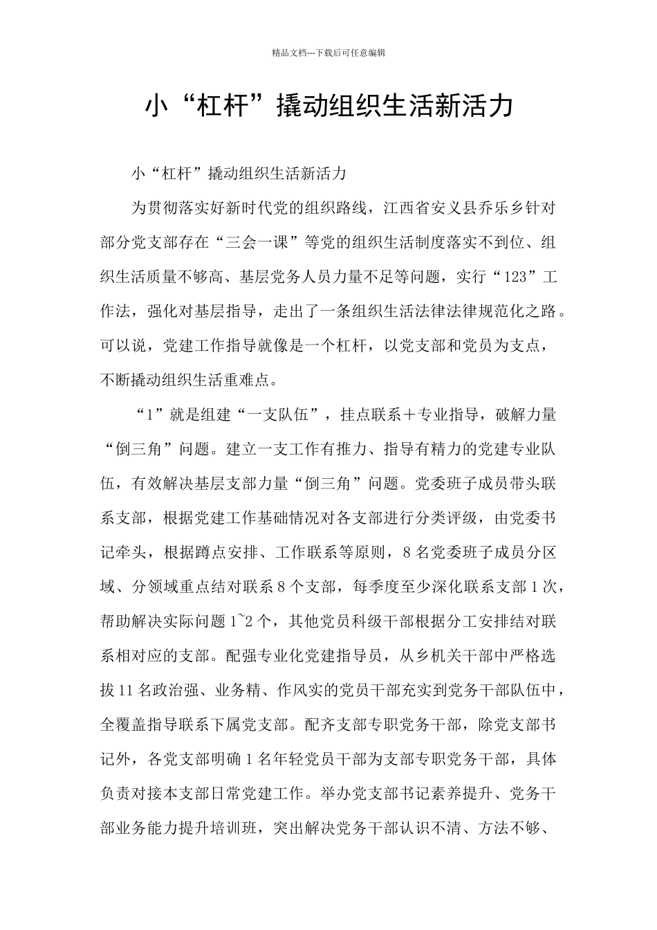 小“杠杆”撬动组织生活新活力_第1页