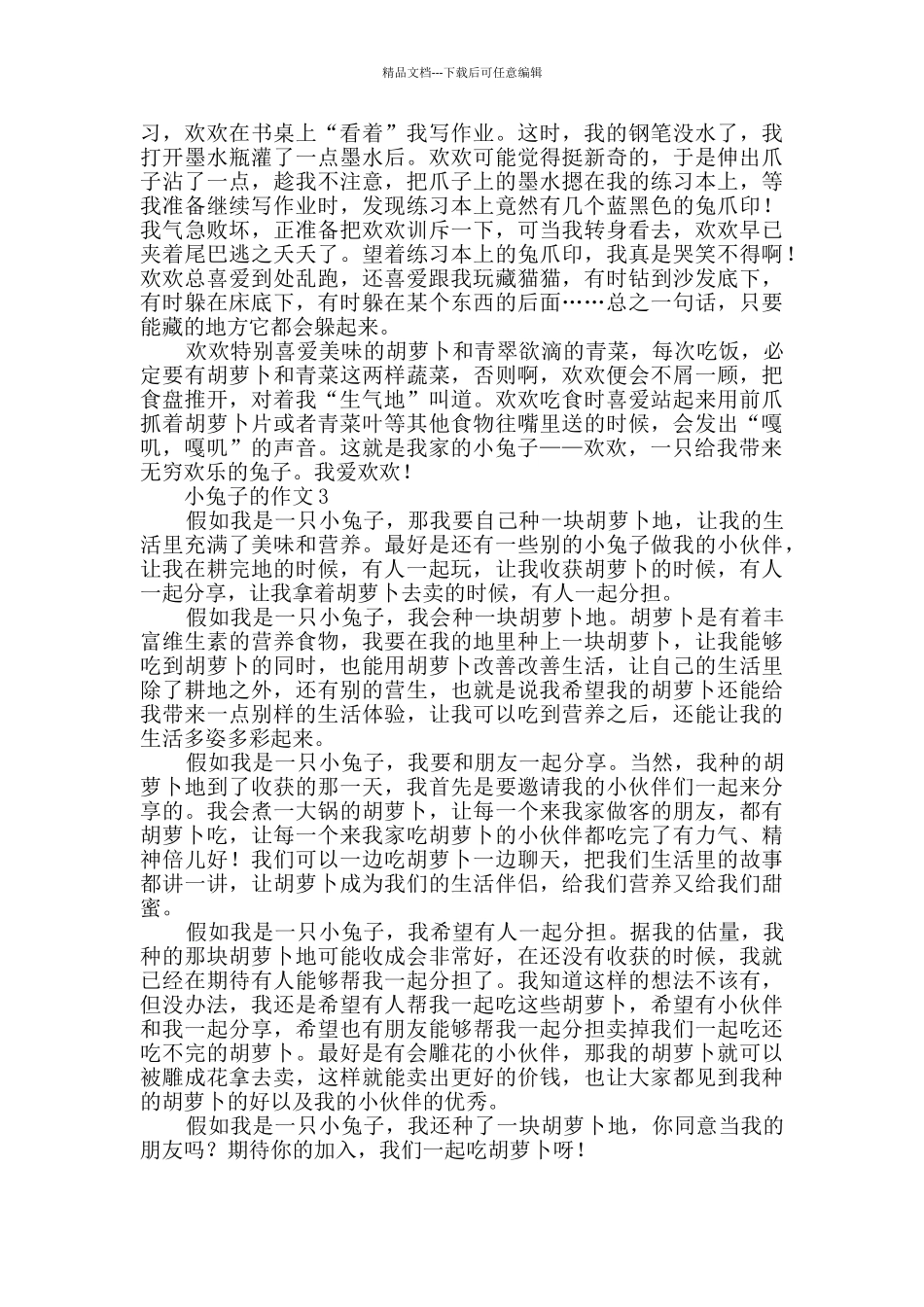 小兔子的作文_第2页