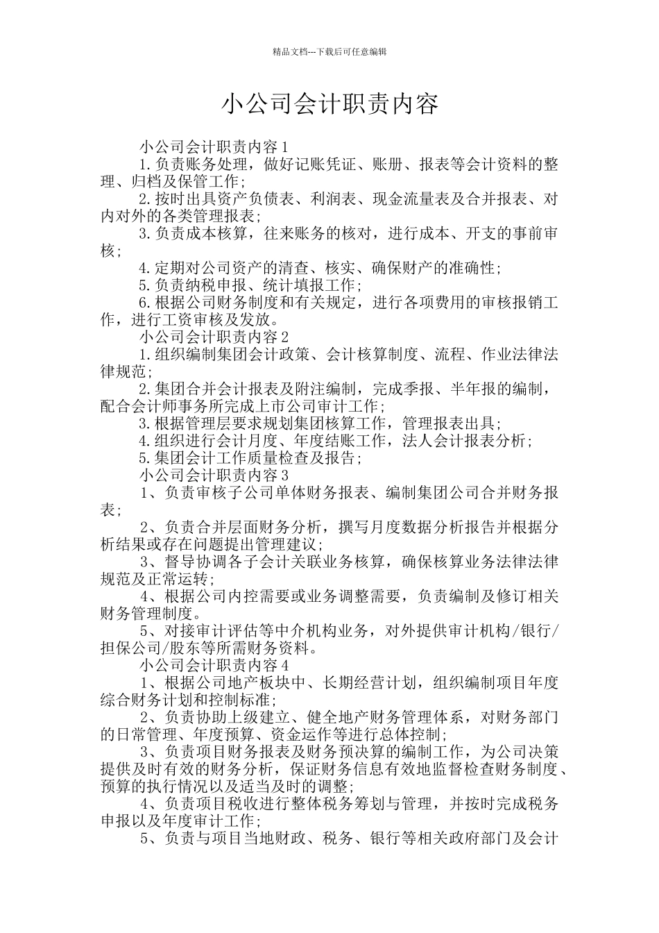 小公司会计职责内容_第1页