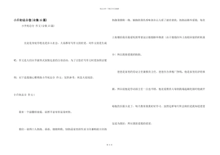 小升初满分(合集15篇)