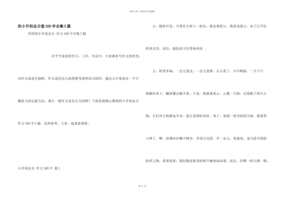 小升初满分300字合集5篇_第1页