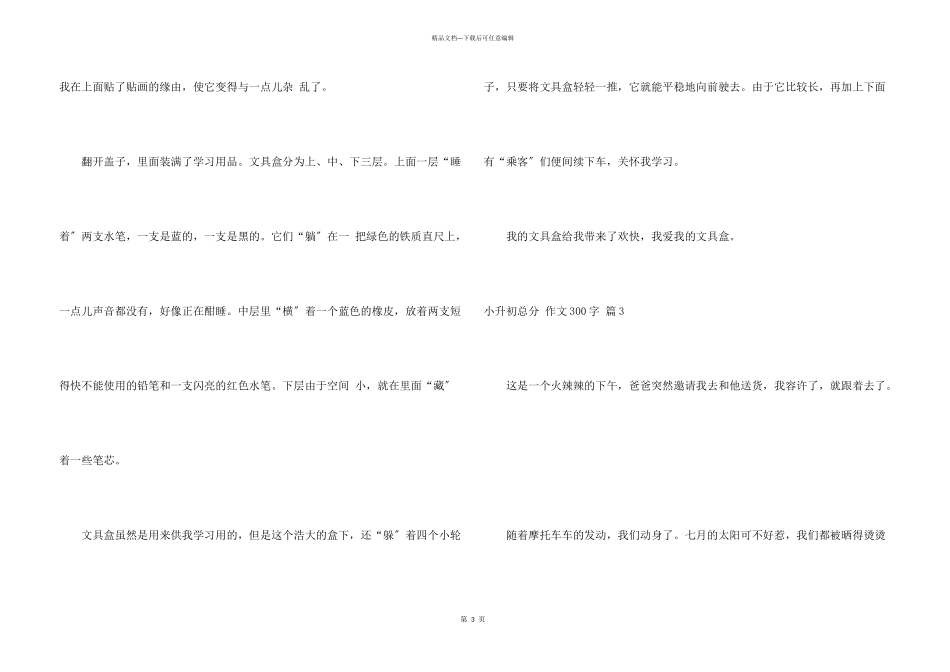 小升初满分300字合集5篇_第3页