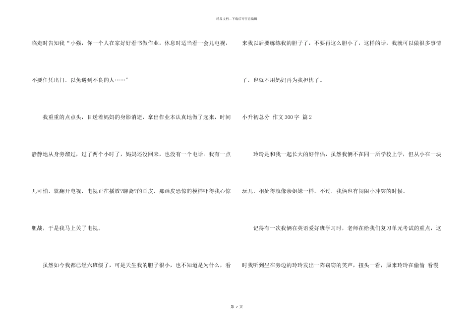 小升初满分300字合集6篇_第2页