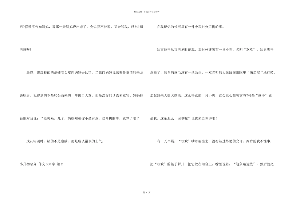 小升初满分300字四篇_第2页