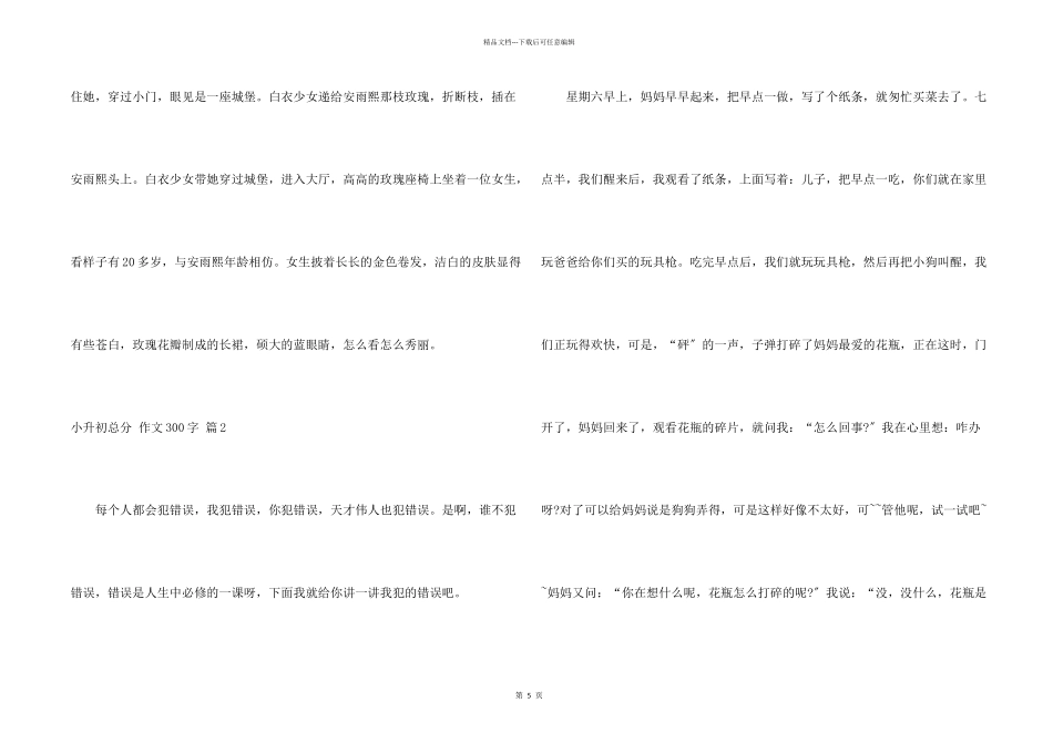 小升初满分300字汇总7篇_第2页