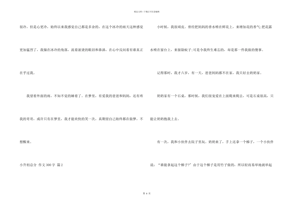 小升初满分300字汇总8篇_第2页