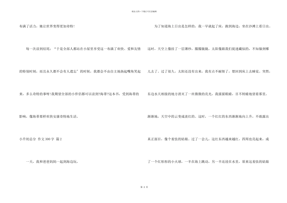 小升初满分300字锦集七篇_第2页