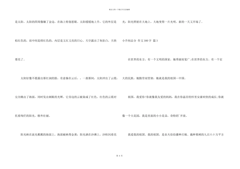 小升初满分300字锦集七篇_第3页