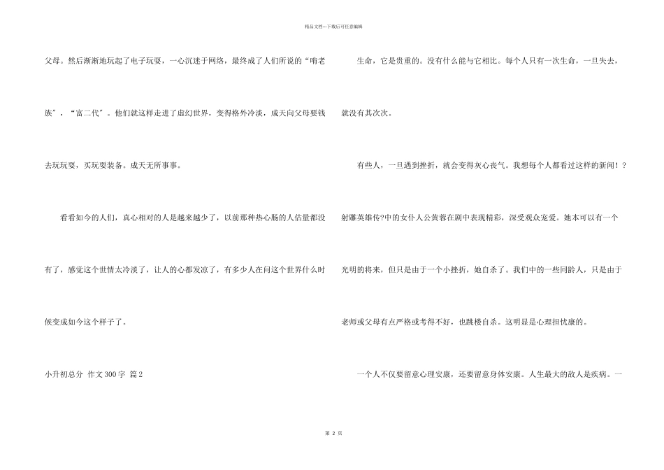 小升初满分300字集合五篇_第2页