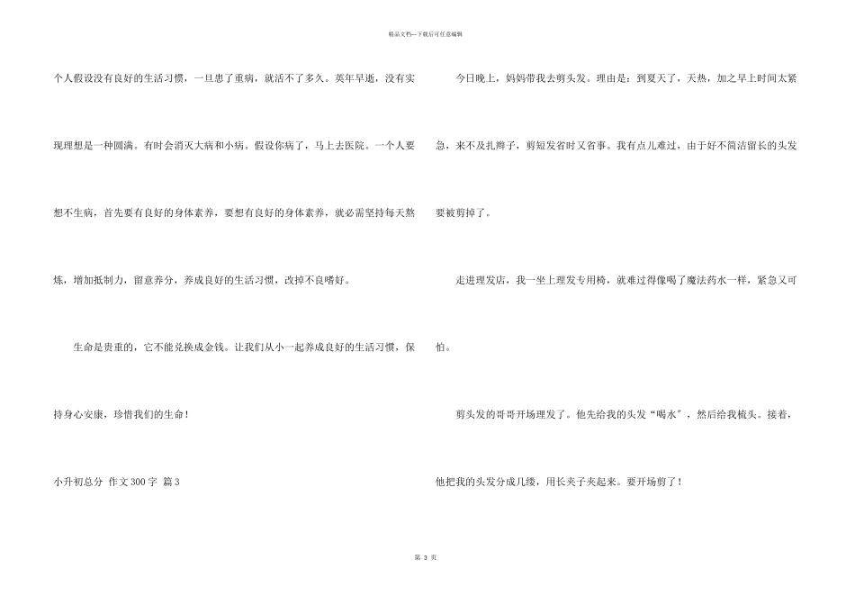 小升初满分300字集合五篇_第3页