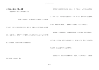 小升初满分300字集合五篇