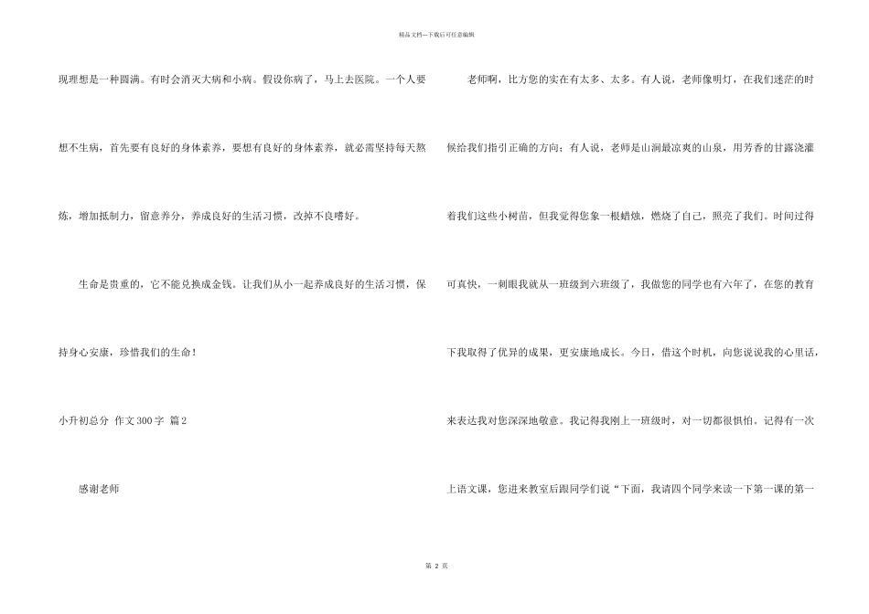 小升初满分300字集合八篇_第2页