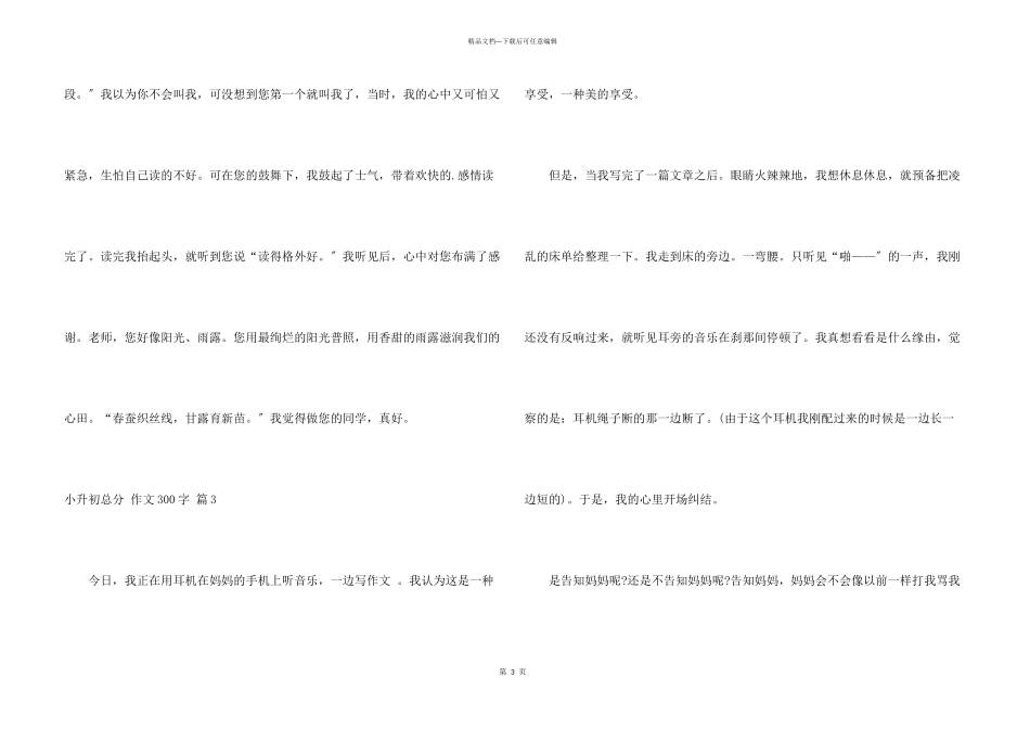小升初满分300字集合八篇_第3页