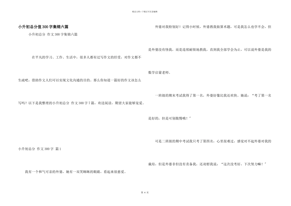小升初满分300字集锦六篇_第1页