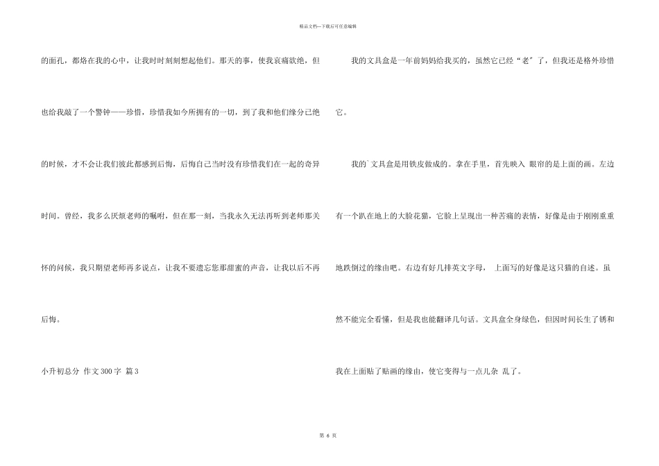 小升初满分300字集锦六篇_第3页