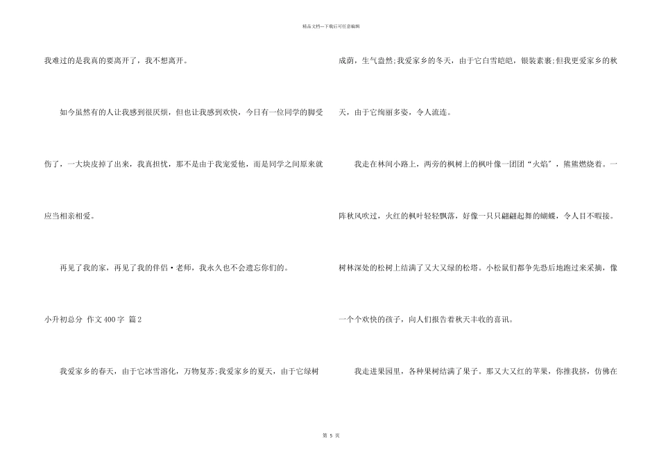 小升初满分400字合集六篇_第2页