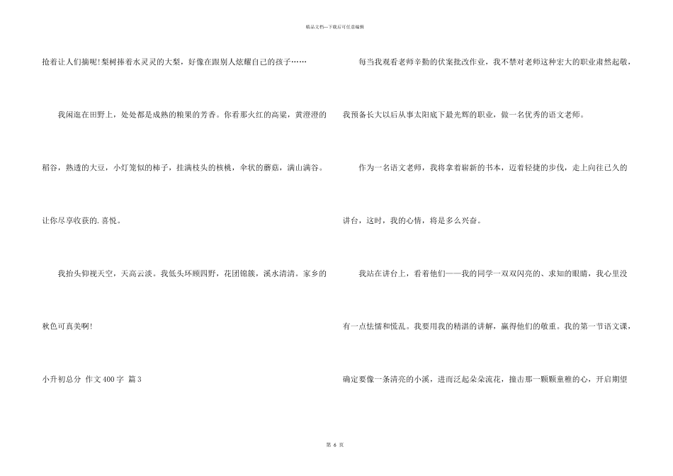小升初满分400字合集六篇_第3页