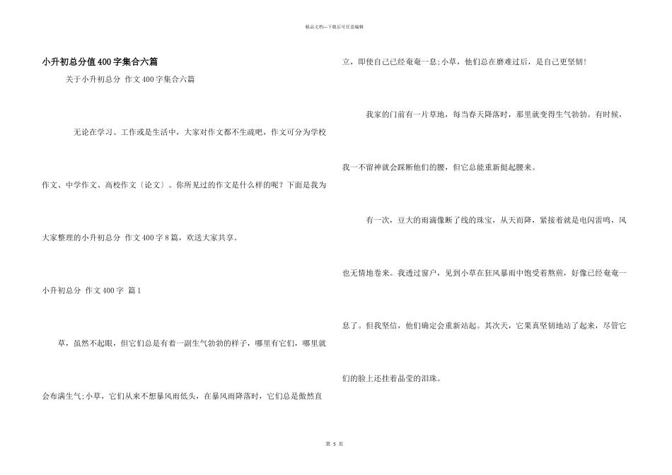 小升初满分400字集合六篇_第1页