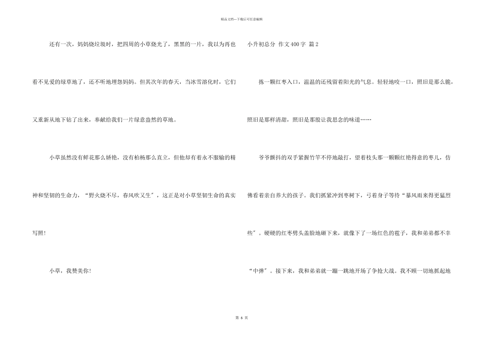 小升初满分400字集合六篇_第2页