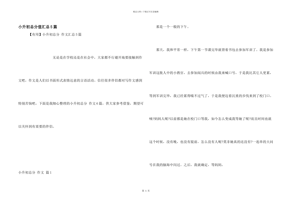 小升初满分汇总5篇_第1页