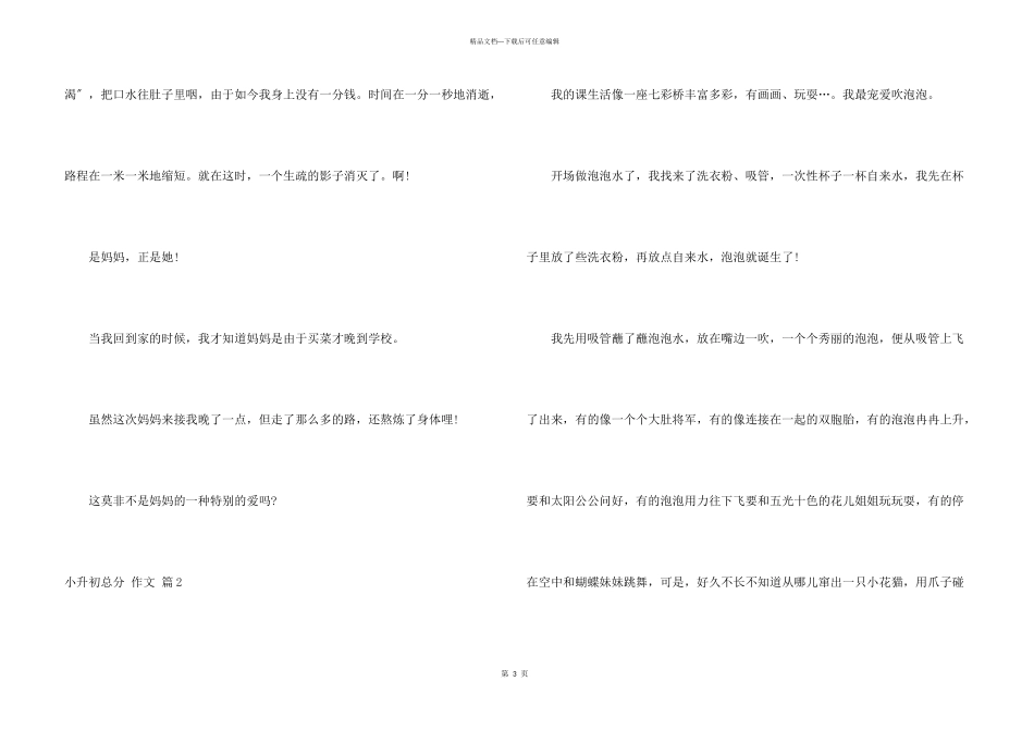 小升初满分汇总5篇_第3页