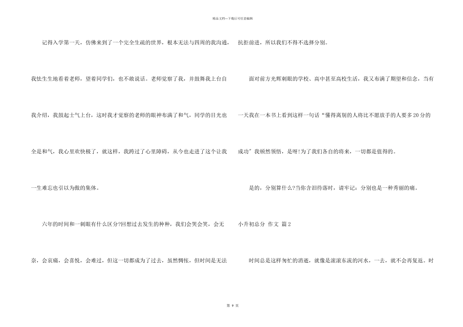 小升初满分锦集九篇_第2页