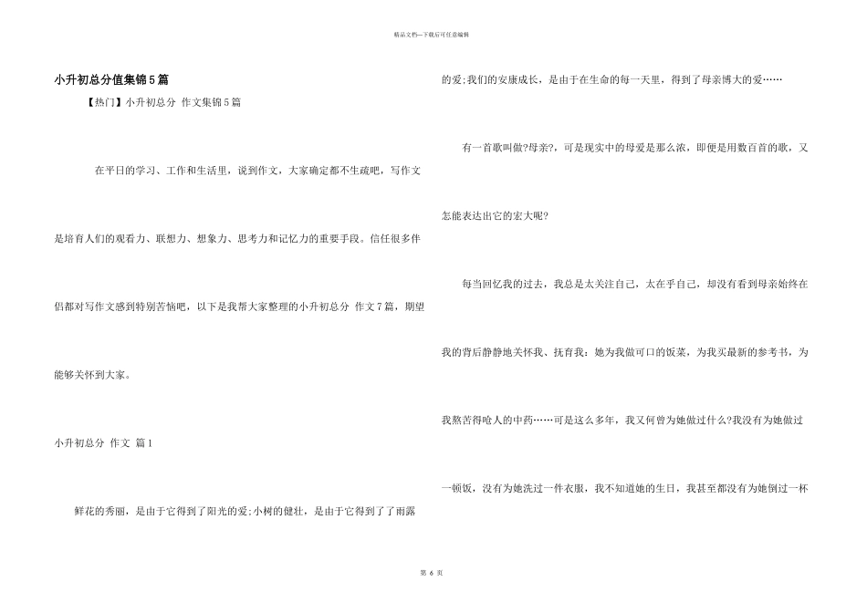 小升初满分集锦5篇_第1页