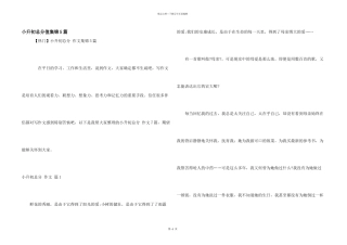 小升初满分集锦5篇